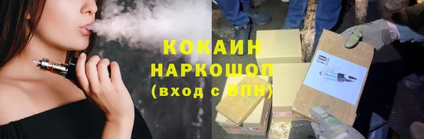 шишки Галич