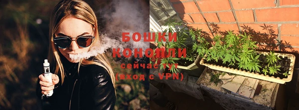мдпв Верхний Тагил