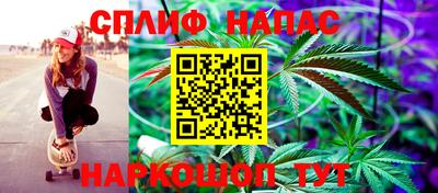 дурь Гатчина