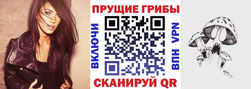 Псилоцибиновые грибы мицелий  Кировск 