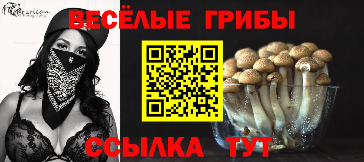 Галлюциногенные грибы мицелий Кировск